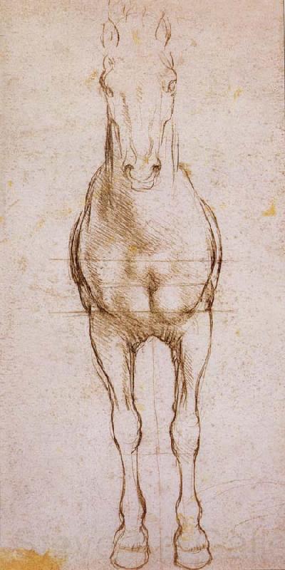 LEONARDO da Vinci Study of the proportion of horses